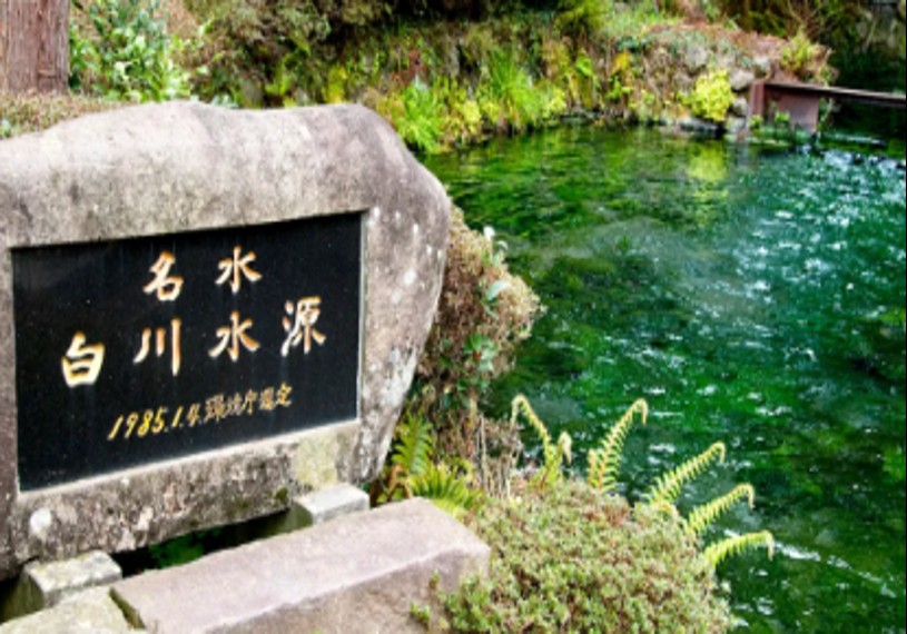 1775380540844066.jpg 4.1.jpg