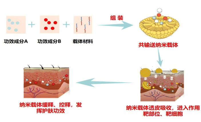 图片31.png