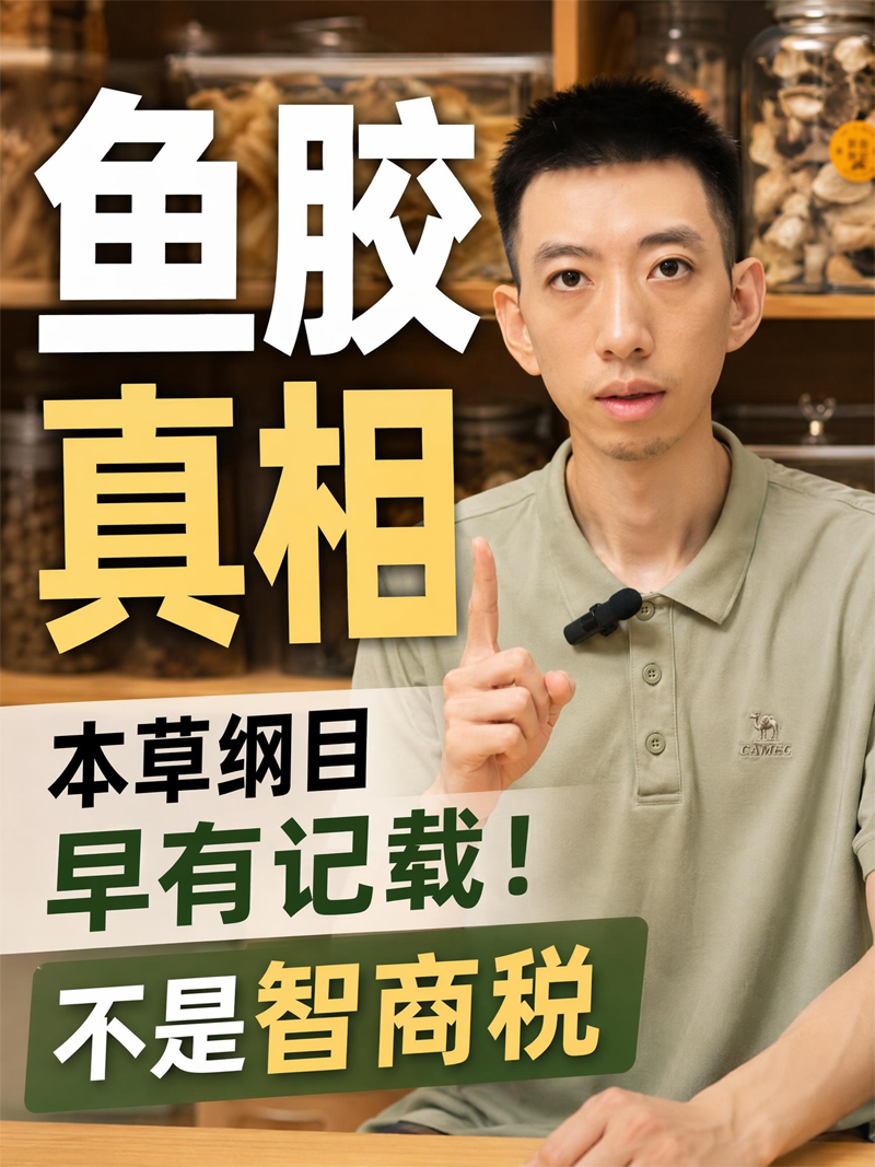 鱼胶食养黄金期指南：从选胶到炖煮&潮汕海岛人的真诚建议&鱼胶的功效与作用&反馈效果好的鱼胶品牌