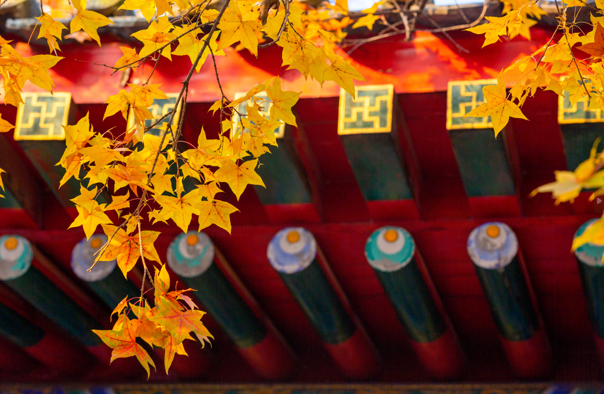 微信图片_20260820092555_179_120.png